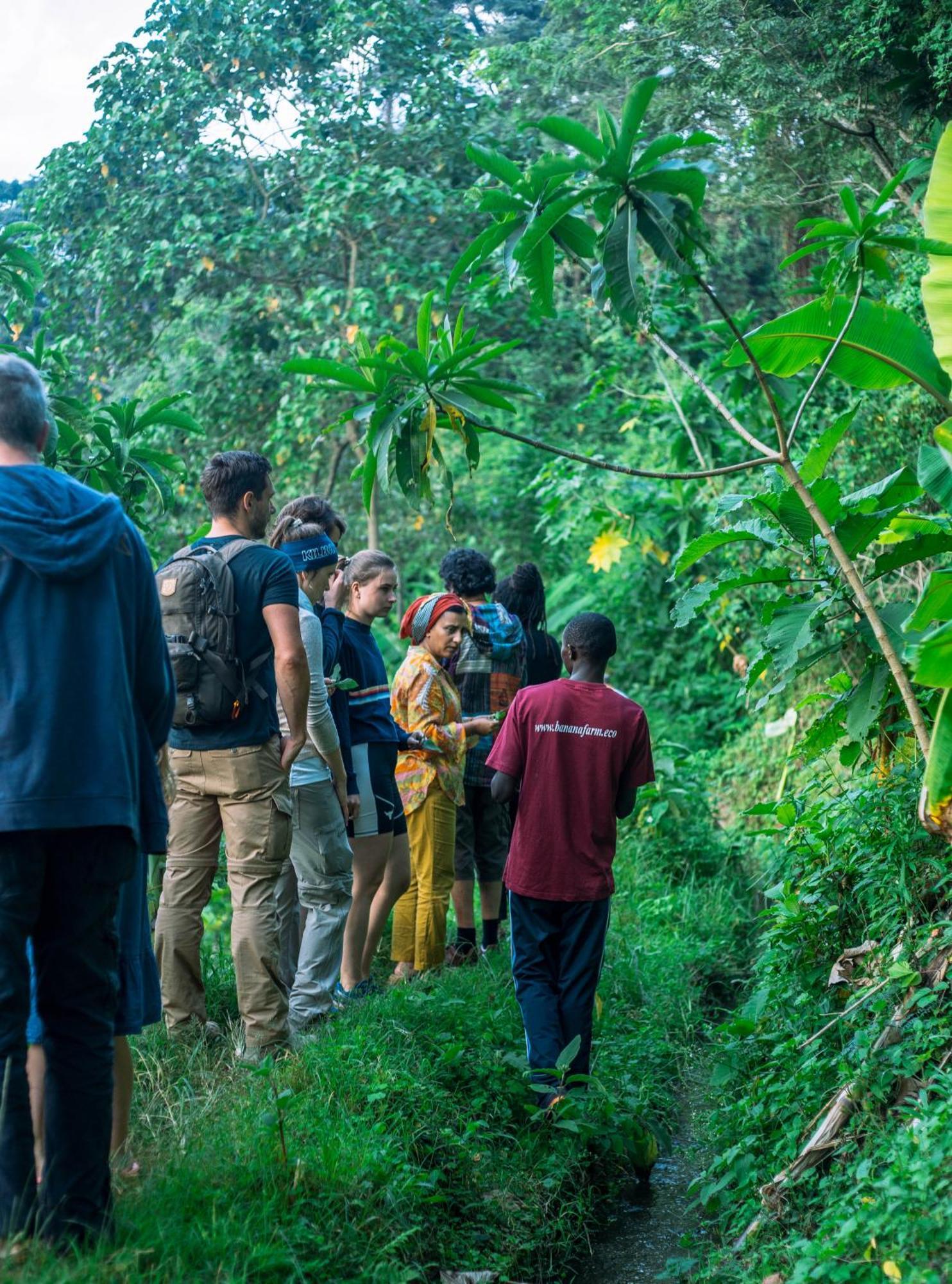 Hostel Banana Farm Eco Arusha