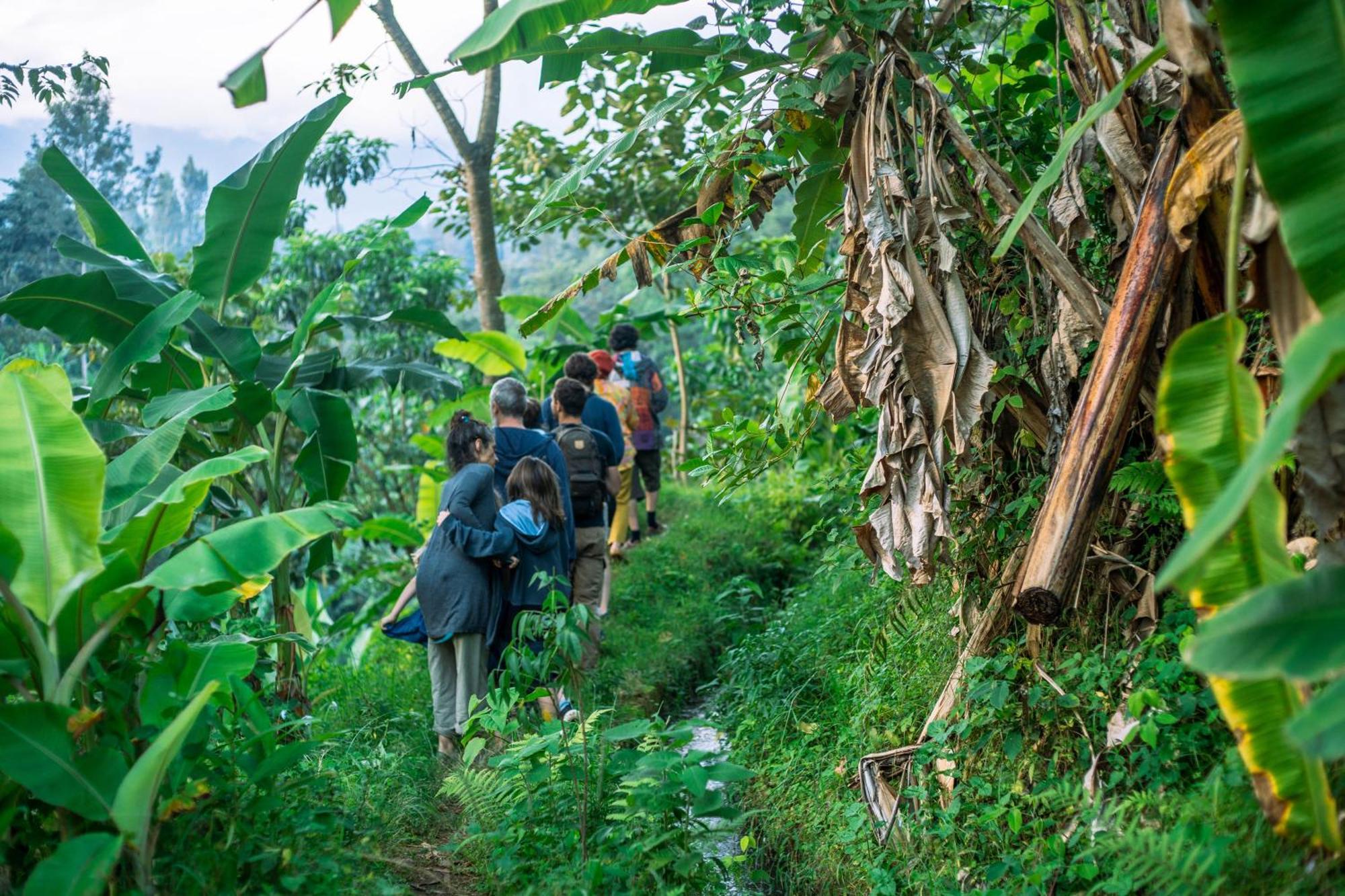 Albergue Banana Farm Eco *